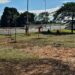 preservação ambiental