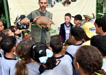 Voluntários apoiando atividades em escola e orientação ao público na Mata de Santa Genebra