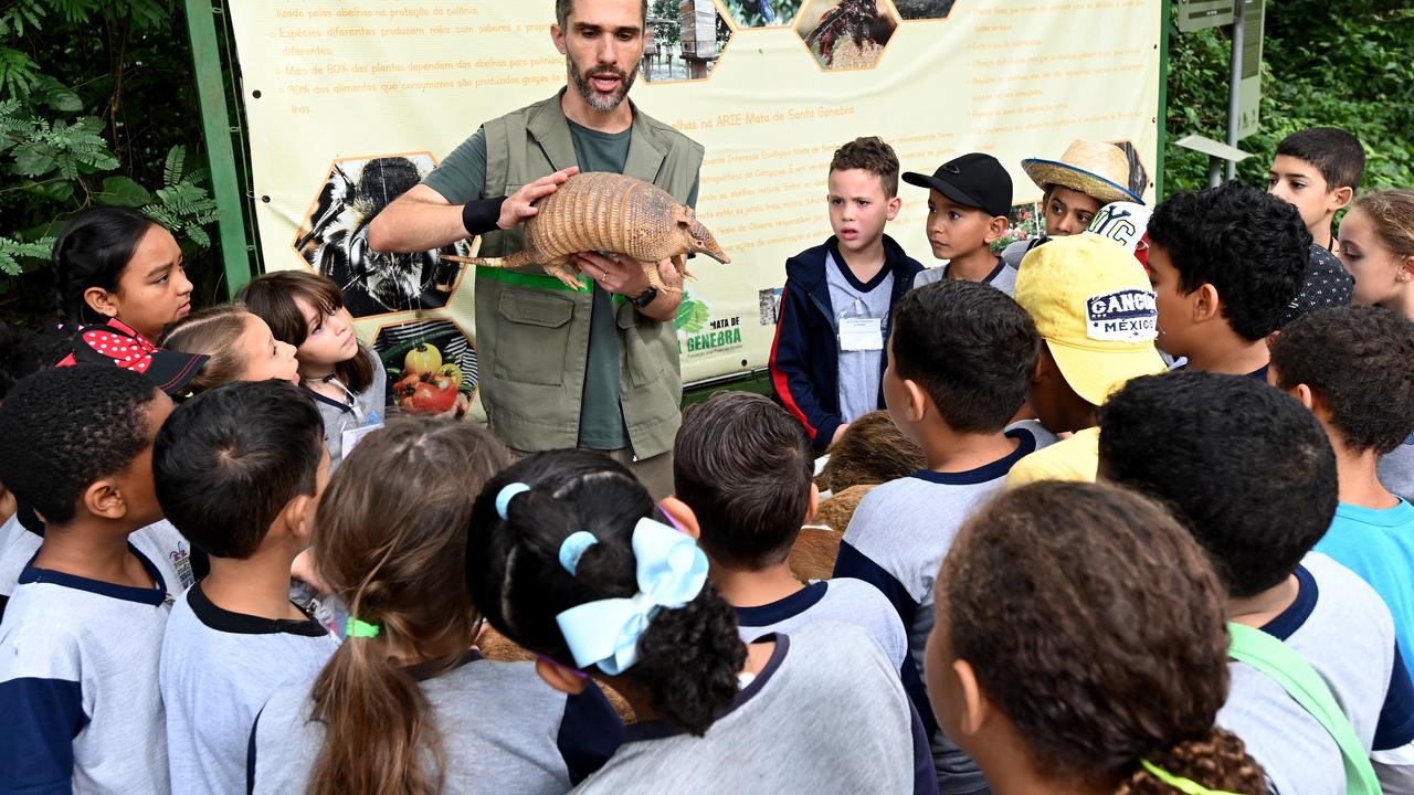 Voluntários apoiando atividades em escola e orientação ao público na Mata de Santa Genebra