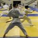 Projeto Escolinhas Esportivas da Prefeitura de Hortolândia oferece prática esportiva gratuita para todas as idades