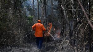 Defesa Civil alerta para risco elevado de queimadas em Campinas