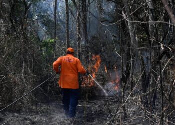 Incêndios ameaçam áreas de vegetação com risco crescente em Campinas