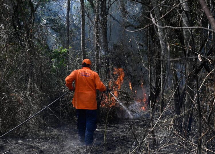 Incêndios ameaçam áreas de vegetação com risco crescente em Campinas