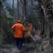 Incêndios ameaçam áreas de vegetação com risco crescente em Campinas