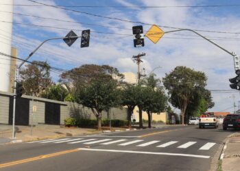 Semáforos com botoeiras e sinalização no cruzamento da Avenida das Andorinhas