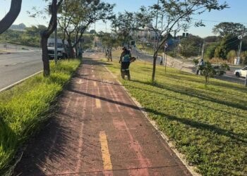 Trechos entre o Corredor Metropolitano e a Av. Olívio Franceschini recebem mutirão de poda do mato e limpeza