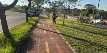 Trechos entre o Corredor Metropolitano e a Av. Olívio Franceschini recebem mutirão de poda do mato e limpeza
