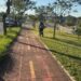 Trechos entre o Corredor Metropolitano e a Av. Olívio Franceschini recebem mutirão de poda do mato e limpeza
