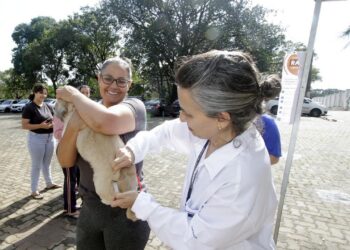 Vacinação antirrábica contra raiva em cães e gatos próximo ao Cemitério da Saudade em Campinas