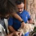 Animais que não saem de casa também precisam ser imunizados contra raiva