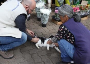 Vacinação acontece depois de um mapeamento prévio da vizinhança do cemitério Durante as visitas de casa em casa, os agentes identificaram o número de animais por residência e quais estavam com a vacina em atraso