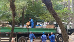 Zeladoria urbana avança em Ouro Verde, Ponte Preta e Centro de Campinas