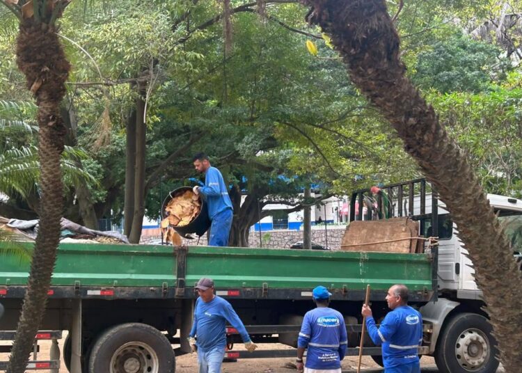 Funcionários varrendo e recolhendo folhas na praça Carlos Gomes