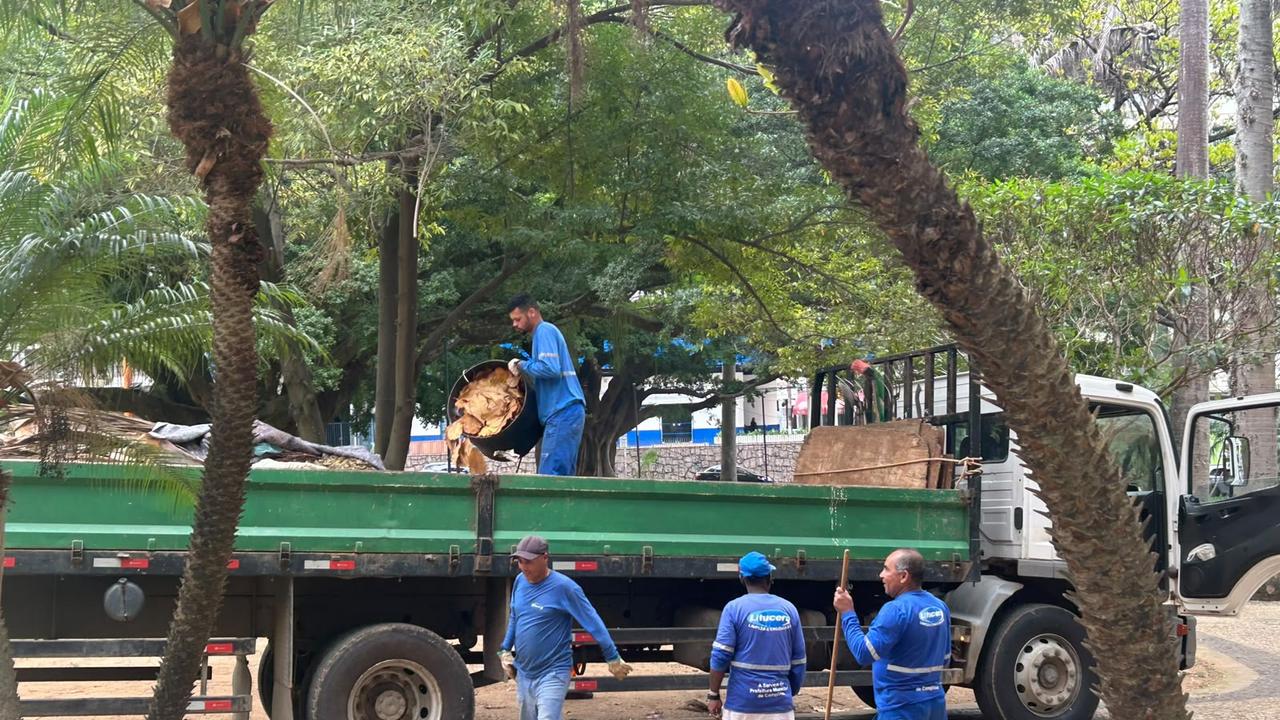 Funcionários varrendo e recolhendo folhas na praça Carlos Gomes