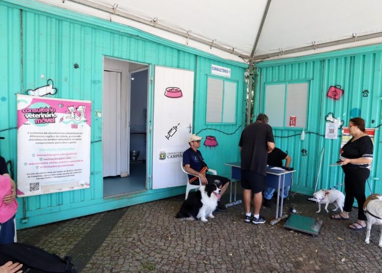 Pets sendo examinados e vacinados no consultório veterinário móvel