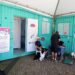 Pets sendo examinados e vacinados no consultório veterinário móvel