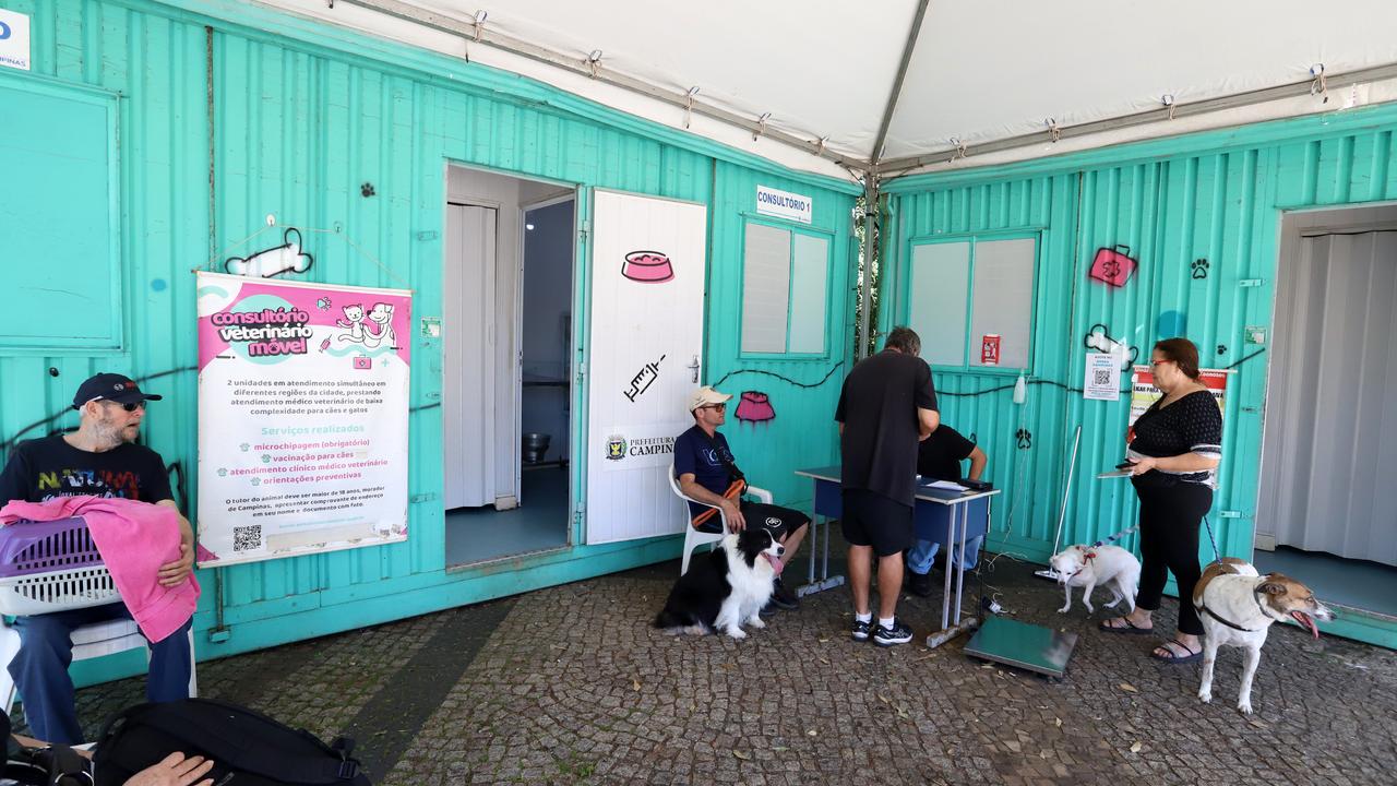 Pets sendo examinados e vacinados no consultório veterinário móvel