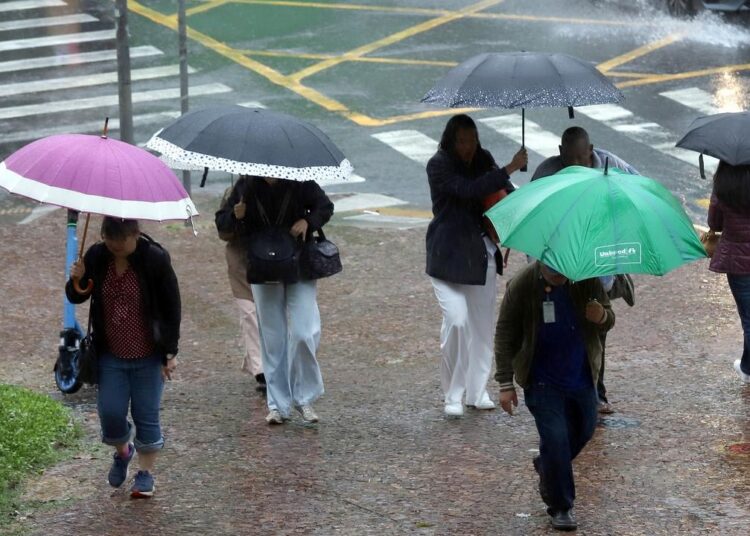 Parques e bosques da cidade estão fechados