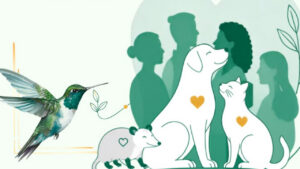 1º Encontro de Proteção Animal de Hortolândia reúne protetores, clínicas e ambientalistas para articular políticas públicas