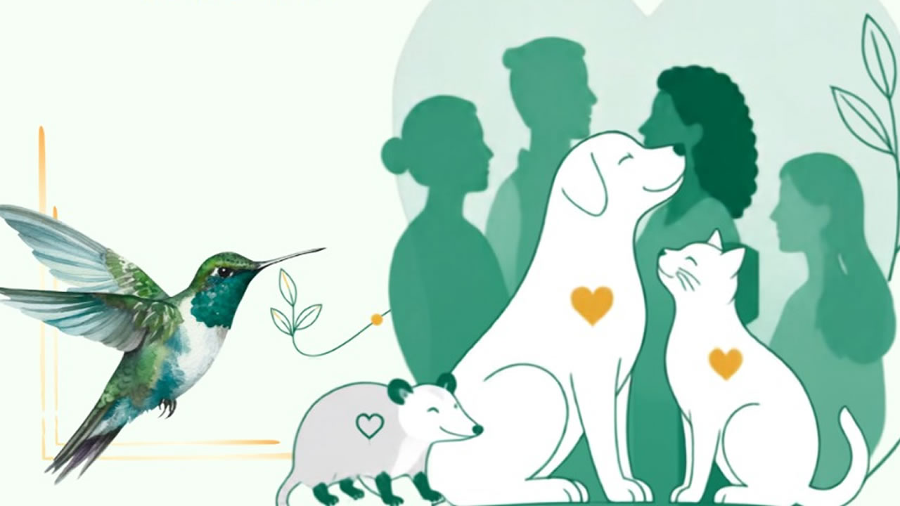 Encontro de Proteção Animal de Hortolândia
