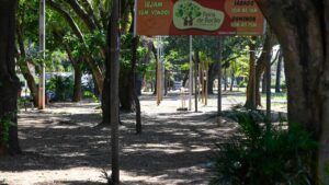 Feira de Barão celebra 24 anos com programação gratuita para a família