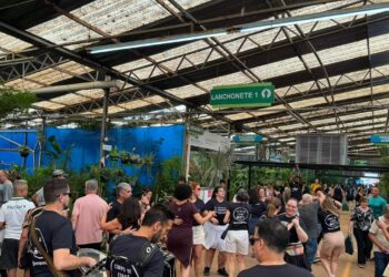 Corredores do Mercado de Flores animados com apresentação de dança de forró