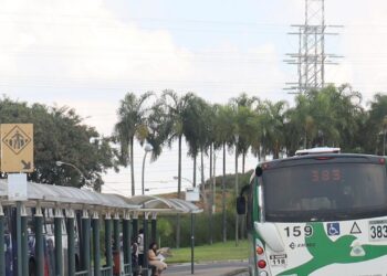 Mais de 9 mil passageiros transportados diariamente nas linhas 375, 381 e 383