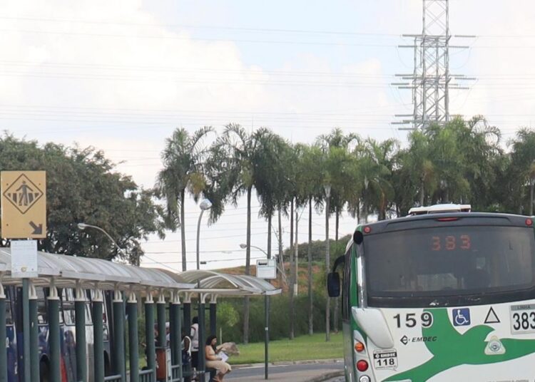 Mais de 9 mil passageiros transportados diariamente nas linhas 375, 381 e 383