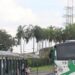Mais de 9 mil passageiros transportados diariamente nas linhas 375, 381 e 383