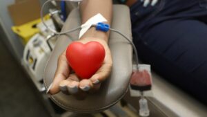 Campanha no Paço Municipal arrecada cerca de 20 litros de sangue