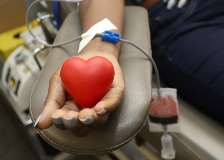 servidores participando da campanha de doação de sangue no Paço Municipal
