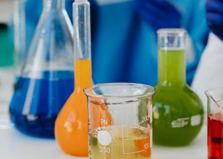 Foto do evento sobre biocombustíveis em Campinas