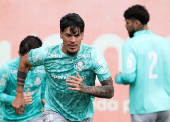 Palmeiras em ação