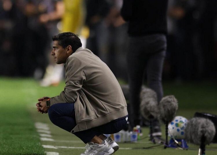 Abel Ferreira durante uma partida