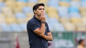 Como Assistir Botafogo e Palmeiras: Horário e Transmissão
