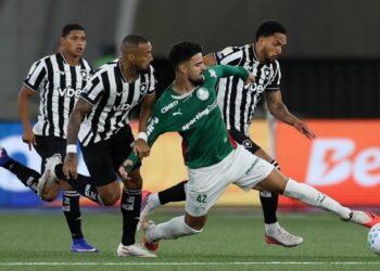 Palmeiras em campo