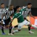 Palmeiras em campo