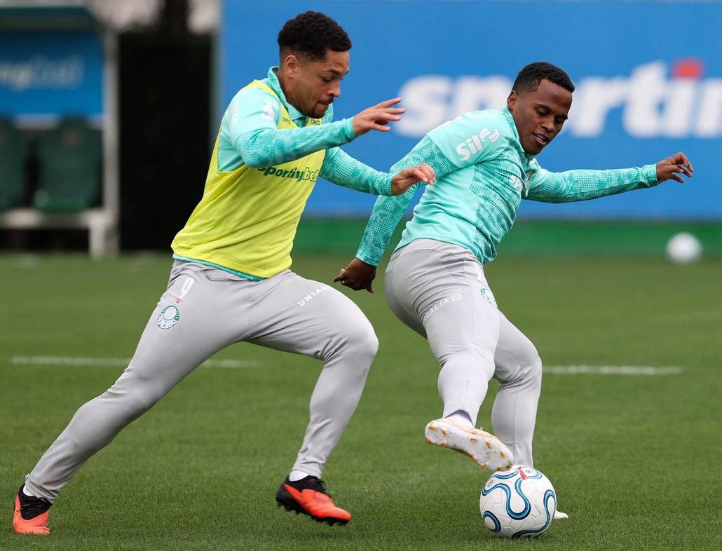 Palmeiras inicia treinos para desafiante confronto com a LDU
