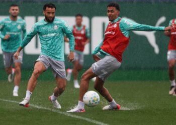 Treino do Palmeiras na Academia de Futebol