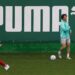 Treino do Palmeiras em preparação para altitude