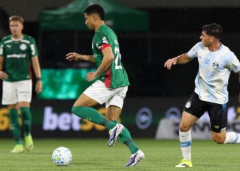 Palmeiras em campo contra o Grêmio
