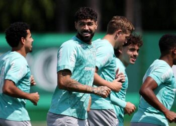Torcida do Palmeiras