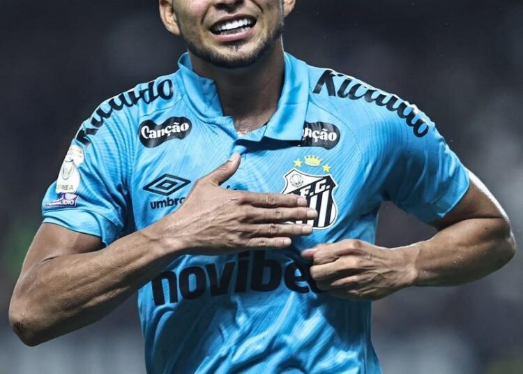 Jogadores do Santos comemoram gol marcado