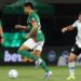 Grêmio e Palmeiras em ação