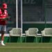 Treinos do Palmeiras na Academia de Futebol