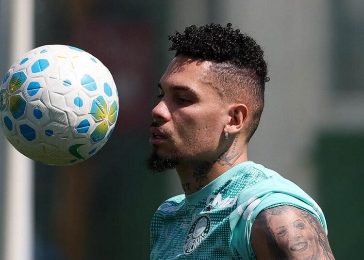 Treinos do Palmeiras durante a Data FIFA