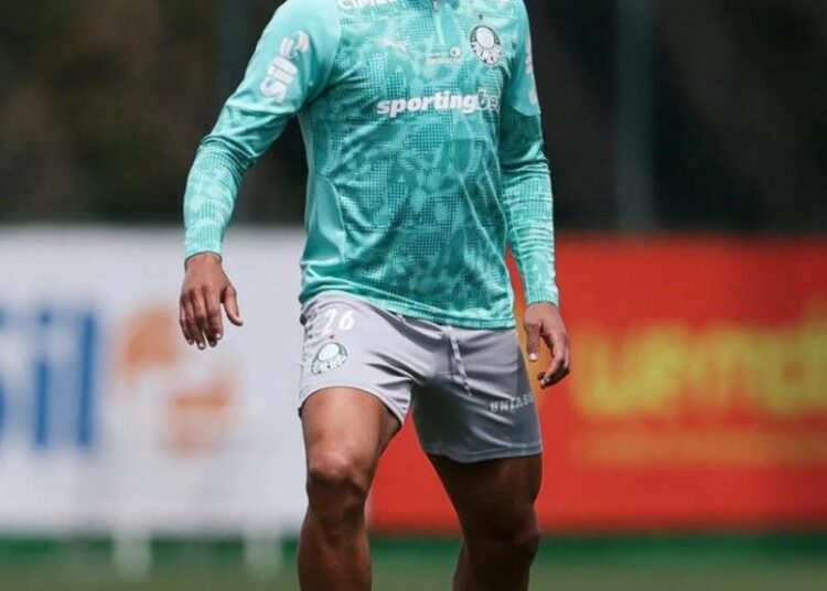 Murilo em ação pelo Palmeiras