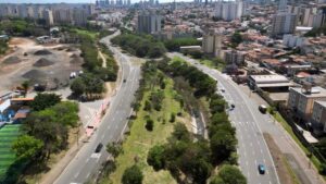 Prefeitura vai plantar quase 9 mil árvores após manejo para Hospital Metropolitano