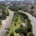 Árvores serão plantadas ao longo da Marginal do Piçarrão