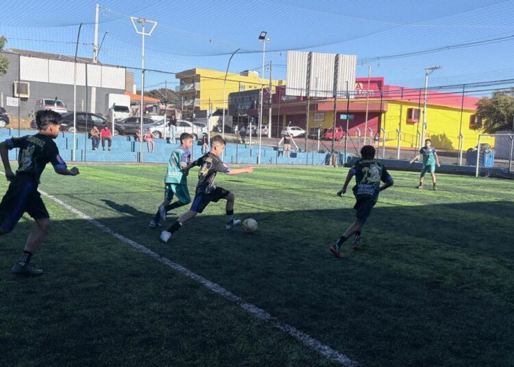 Final da HortoCopa 2026 é na manhã deste sábado (26/09)